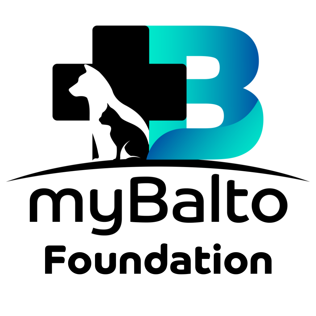 My Balto Foundation Logo